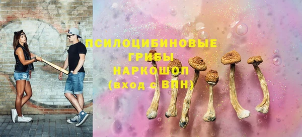 крисы Баксан