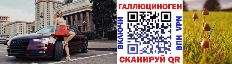 дарнет шоп  Михайловск  Галлюциногенные грибы Cubensis 